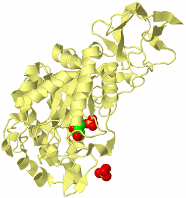 Image Biological Unit 4