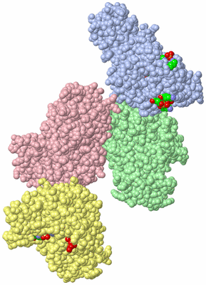 Image Asym. Unit - sites