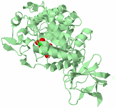 Image Biological Unit 1