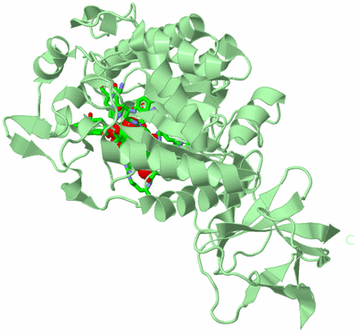 Image Biol. Unit 1 - sites