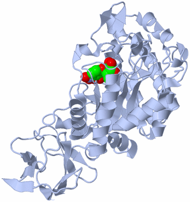 Image Biological Unit 3