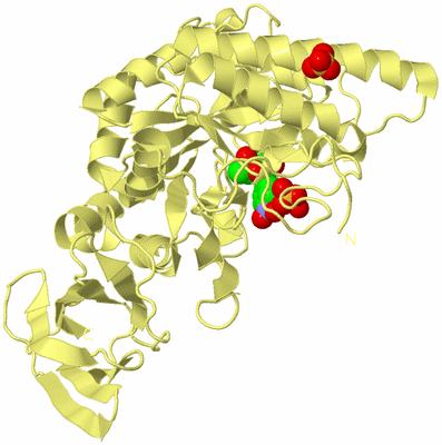 Image Biological Unit 4