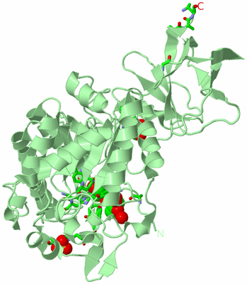 Image Biol. Unit 1 - sites