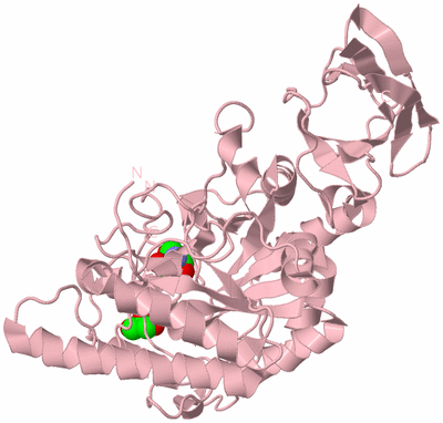 Image Biological Unit 2