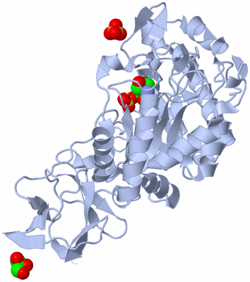 Image Biological Unit 3