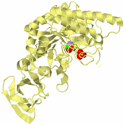 Image Biological Unit 4