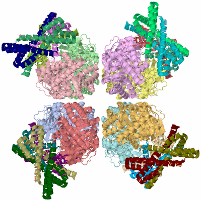 Image Asym./Biol. Unit