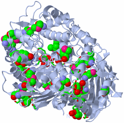 Image Biol. Unit 1 - sites