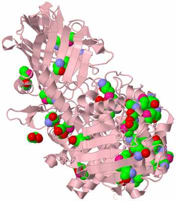 Image Biological Unit 3