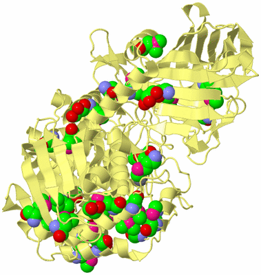 Image Biological Unit 4