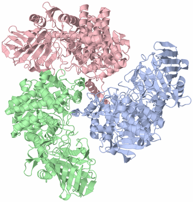 Image Asym./Biol. Unit