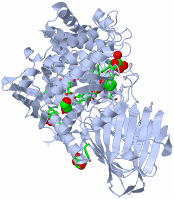 Image Biol. Unit 1 - sites