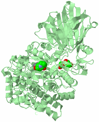 Image Biological Unit 2