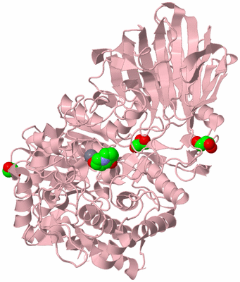 Image Biological Unit 3