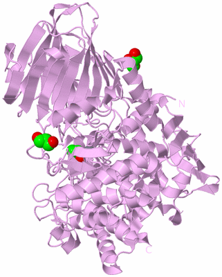 Image Biological Unit 5