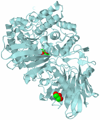 Image Biological Unit 6