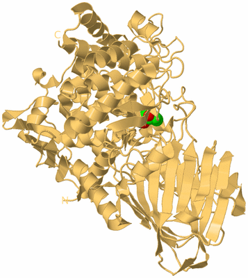 Image Biological Unit 7