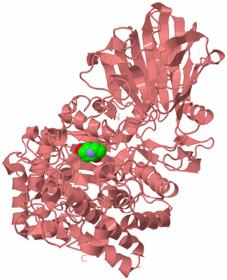 Image Biological Unit 8