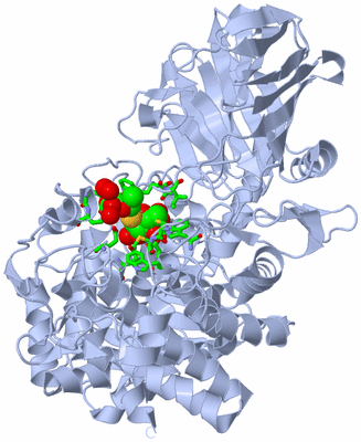 Image Biol. Unit 1 - sites