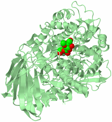 Image Biological Unit 2