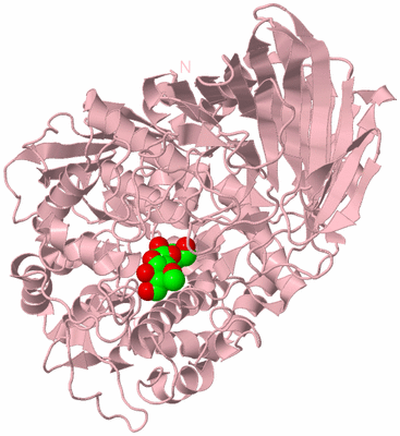 Image Biological Unit 3