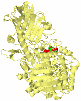 Image Biological Unit 4