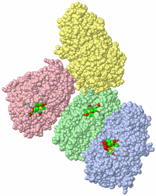 Image Asym. Unit - sites