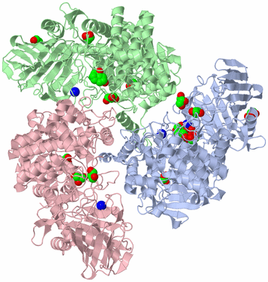 Image Asym./Biol. Unit