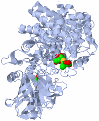 Image Biological Unit 1