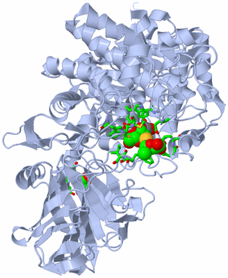 Image Biol. Unit 1 - sites