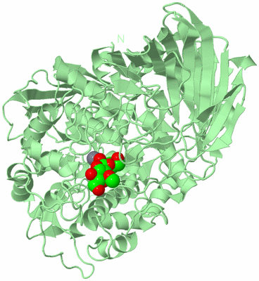 Image Biological Unit 2