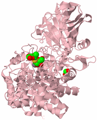 Image Biological Unit 3