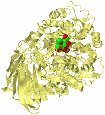 Image Biological Unit 4