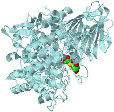 Image Biological Unit 6