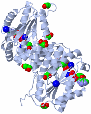 Image Biological Unit 1