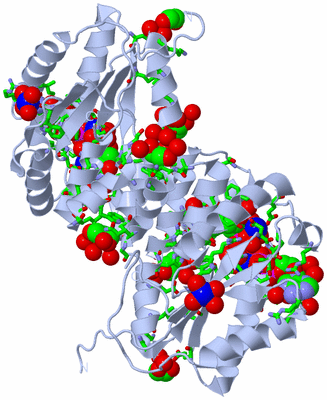 Image Biol. Unit 1 - sites