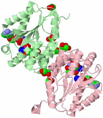 Image Biological Unit 2