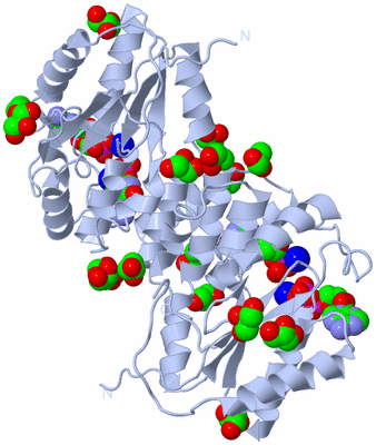 Image Biological Unit 1