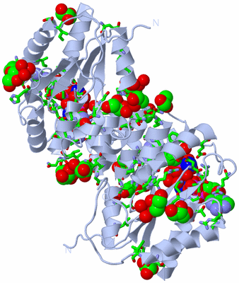 Image Biol. Unit 1 - sites