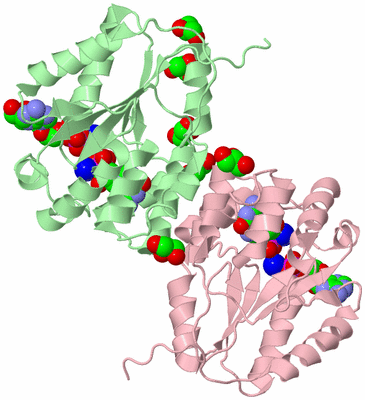 Image Biological Unit 2