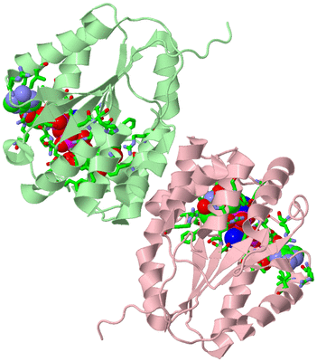 Image Biol. Unit 1 - sites