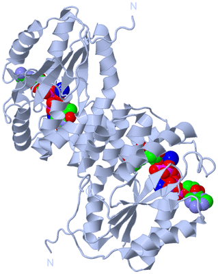 Image Biological Unit 2