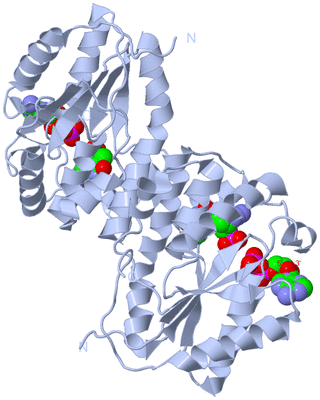 Image Biological Unit 1