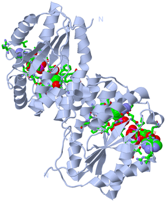 Image Biol. Unit 1 - sites