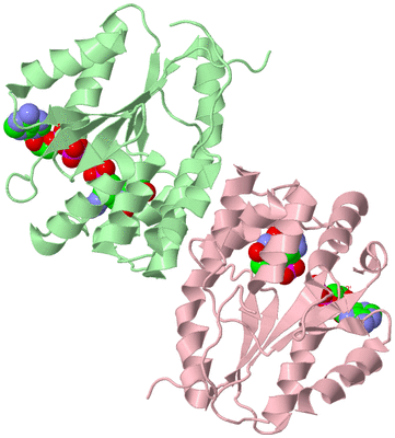 Image Biological Unit 2