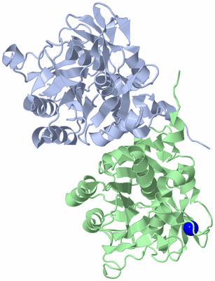 Image Biological Unit 1