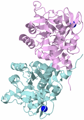 Image Biological Unit 2