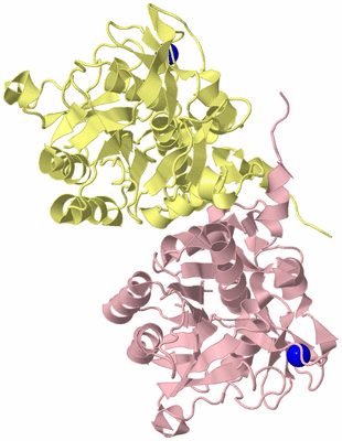 Image Biological Unit 3