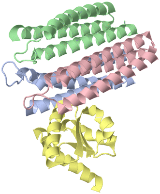 Image NMR Structure - model 1