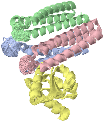 Image NMR Structure - all models